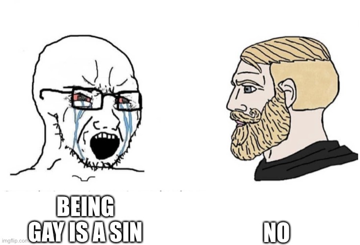 Soyboy Vs Yes Chad | NO; BEING GAY IS A SIN | image tagged in soyboy vs yes chad | made w/ Imgflip meme maker