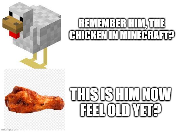 Blank White Template | REMEMBER HIM, THE CHICKEN IN MINECRAFT? THIS IS HIM NOW
FEEL OLD YET? | image tagged in blank white template | made w/ Imgflip meme maker
