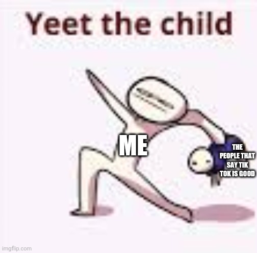 YEET Child | THE PEOPLE THAT SAY TIK TOK IS GOOD; ME | image tagged in single yeet the child panel | made w/ Imgflip meme maker