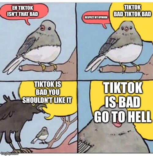 What do you think? | TIKTOK BAD TIKTOK BAD; EH TIKTOK ISN'T THAT BAD; RESPECT MY OPINION; TIKTOK IS BAD YOU SHOULDN'T LIKE IT; TIKTOK IS BAD GO TO HELL | image tagged in annoyed bird,tiktok,memes,funny memes,annoyed | made w/ Imgflip meme maker