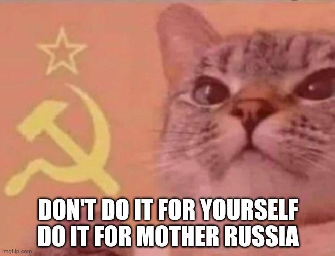 Communist cat |  DON'T DO IT FOR YOURSELF DO IT FOR MOTHER RUSSIA | image tagged in communist cat | made w/ Imgflip meme maker