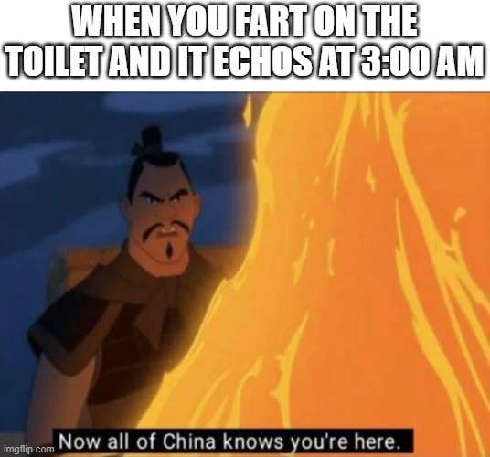 Now all of China knows you're here |  WHEN YOU FART ON THE TOILET AND IT ECHOS AT 3:00 AM | image tagged in now all of china knows you're here | made w/ Imgflip meme maker