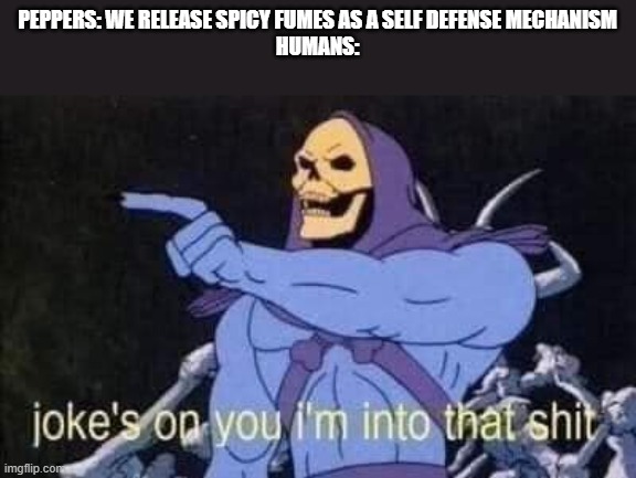 Jokes on you I'm into that shit | PEPPERS: WE RELEASE SPICY FUMES AS A SELF DEFENSE MECHANISM
HUMANS: | image tagged in jokes on you i'm into that shit | made w/ Imgflip meme maker