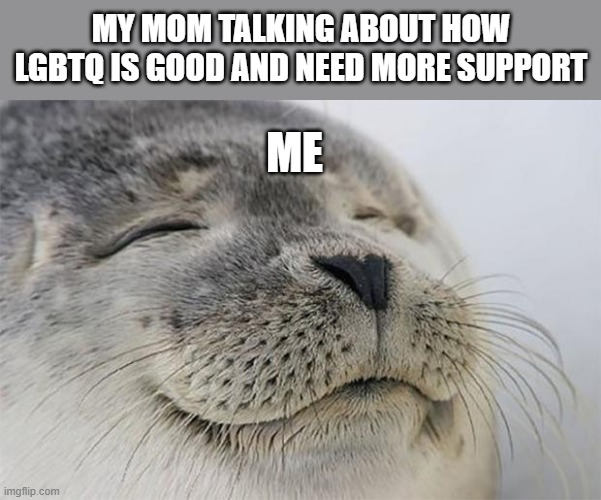 Satisfied Seal Meme | MY MOM TALKING ABOUT HOW LGBTQ IS GOOD AND NEED MORE SUPPORT ME | image tagged in memes,satisfied seal | made w/ Imgflip meme maker
