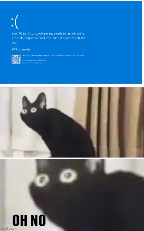 me whenever i play TABS | OH NO | image tagged in oh no black cat | made w/ Imgflip meme maker