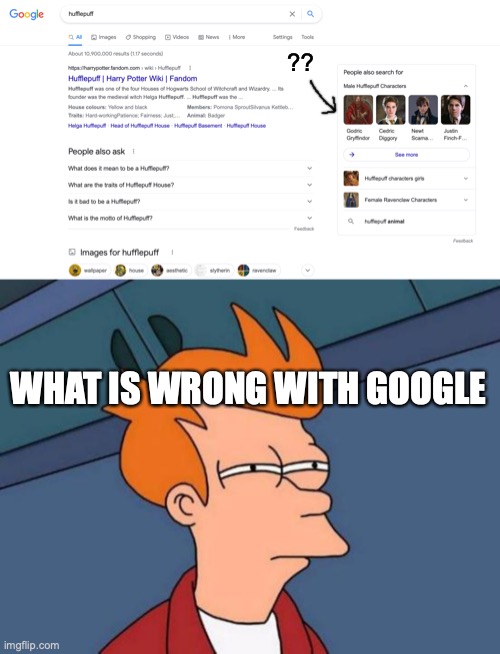 Godric Gryffindor is a HUFFLEPUFF?? | ?? WHAT IS WRONG WITH GOOGLE | image tagged in memes,futurama fry,harry potter,hufflepuff | made w/ Imgflip meme maker
