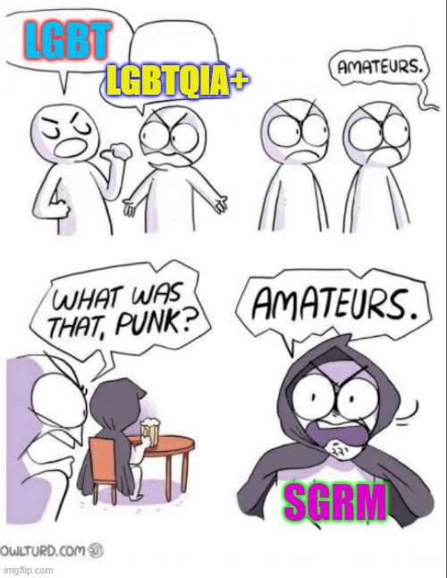 Sexual, Gender & Romantic Minority is more inclusive |  LGBT; LGBTQIA+; SGRM | image tagged in amateurs w/ fixed text boxes,lgbtq,better,diversity | made w/ Imgflip meme maker