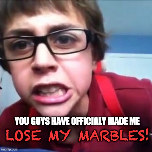 SammyClassicSonicFan | LOSE MY MARBLES! YOU GUYS HAVE OFFICIALY MADE ME | image tagged in sammyclassicsonicfan | made w/ Imgflip meme maker