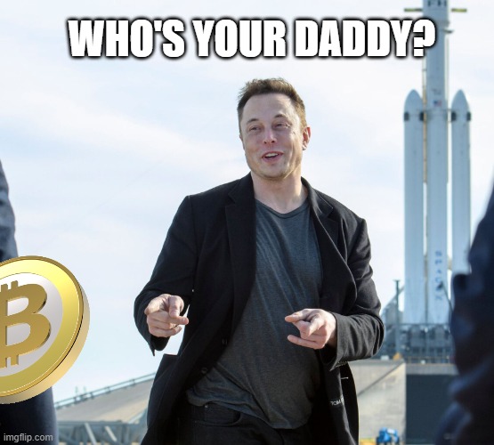 Elon Musk Bitcoin Daddy | WHO'S YOUR DADDY? | image tagged in elon musk,bitcoin,cryptocurrency,crypto,mining,btc | made w/ Imgflip meme maker