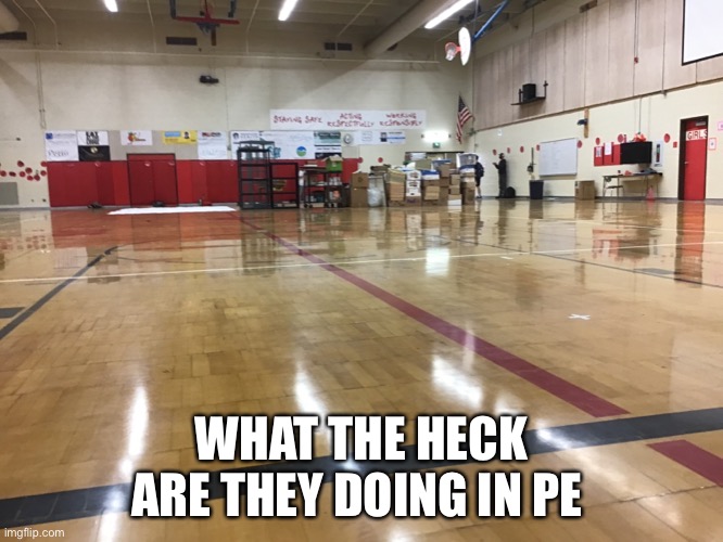 What are they doing? | WHAT THE HECK ARE THEY DOING IN PE | image tagged in what | made w/ Imgflip meme maker