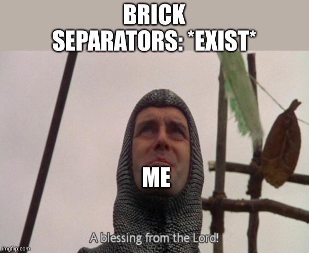A blessing from the lord | BRICK SEPARATORS: *EXIST* ME | image tagged in a blessing from the lord | made w/ Imgflip meme maker