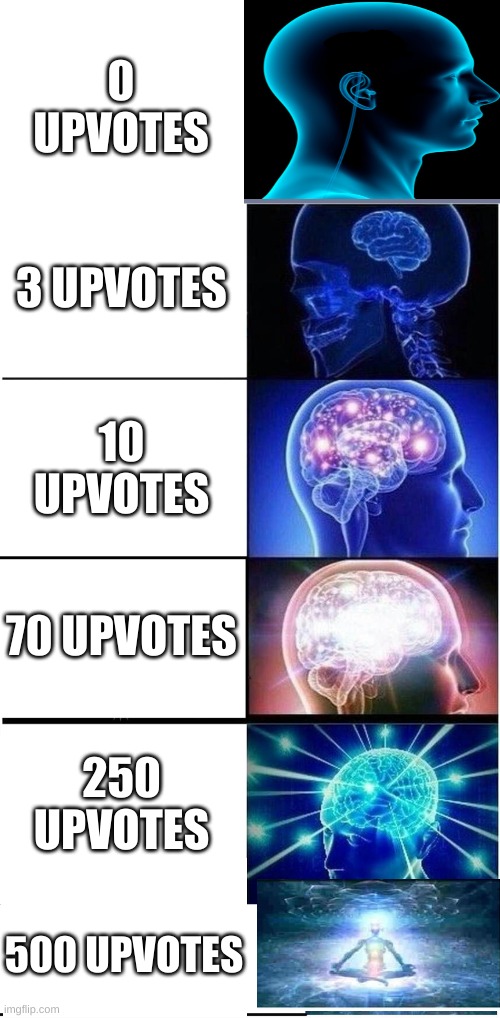 upvotes | 0 UPVOTES; 3 UPVOTES; 10 UPVOTES; 70 UPVOTES; 250 UPVOTES; 500 UPVOTES | image tagged in memes,expanding brain,expanding brain 5 panel,upvotes,many upvotes,too many tags | made w/ Imgflip meme maker