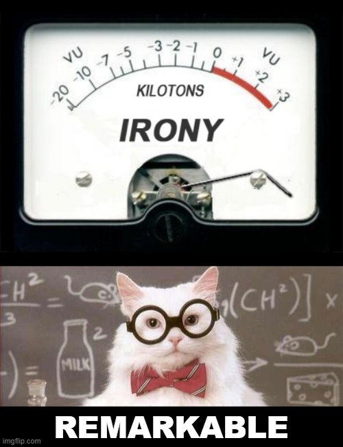 ◄► Reaction: Remarkable irony | REMARKABLE | image tagged in irony,comment,reaction | made w/ Imgflip meme maker