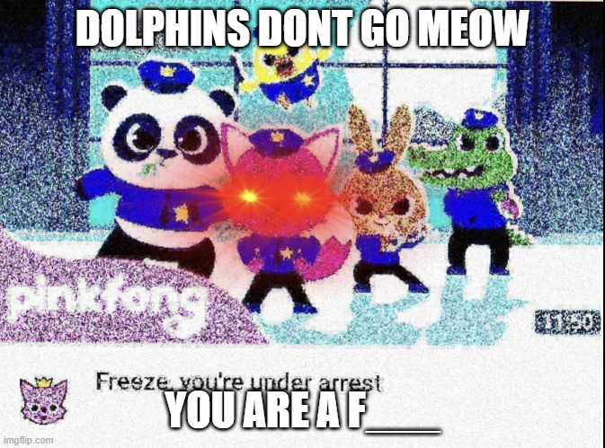 DOLHPINS DONT GO MEOW | DOLPHINS DONT GO MEOW YOU ARE A F___ | image tagged in freeze you're under arrest deep-fried,dolphins,nazis | made w/ Imgflip meme maker