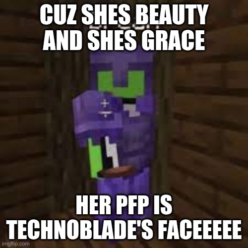 idk man | CUZ SHES BEAUTY AND SHES GRACE; HER PFP IS TECHNOBLADE'S FACEEEEE | image tagged in idk man | made w/ Imgflip meme maker