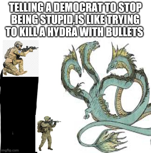 Stupidity has gotten worse |  TELLING A DEMOCRAT TO STOP BEING STUPID,IS LIKE TRYING TO KILL A HYDRA WITH BULLETS | image tagged in blank white template | made w/ Imgflip meme maker