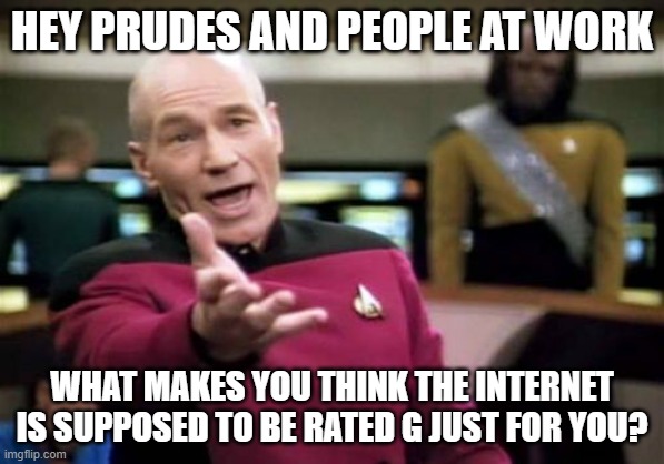 A rated G Internet? | HEY PRUDES AND PEOPLE AT WORK; WHAT MAKES YOU THINK THE INTERNET IS SUPPOSED TO BE RATED G JUST FOR YOU? | image tagged in memes,picard wtf | made w/ Imgflip meme maker