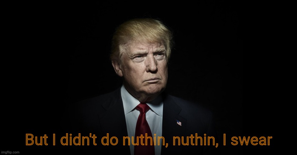 But I didn't do nuthin, nuthin, I swear | image tagged in trump in the dark | made w/ Imgflip meme maker