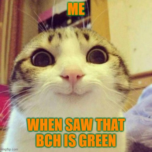 CRYPTO: BCH | ME; WHEN SAW THAT BCH IS GREEN | image tagged in memes,smiling cat | made w/ Imgflip meme maker