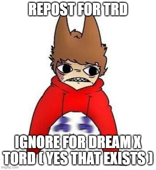 TRRRRRRRRRRRRRRD | REPOST FOR TRD; IGNORE FOR DREAM X TORD ( YES THAT EXISTS ) | image tagged in trd | made w/ Imgflip meme maker