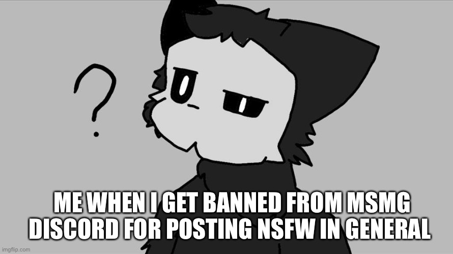 It wasn’t that bad | ME WHEN I GET BANNED FROM MSMG DISCORD FOR POSTING NSFW IN GENERAL | made w/ Imgflip meme maker