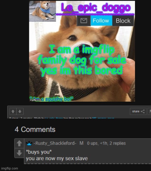 made w/ Imgflip meme maker