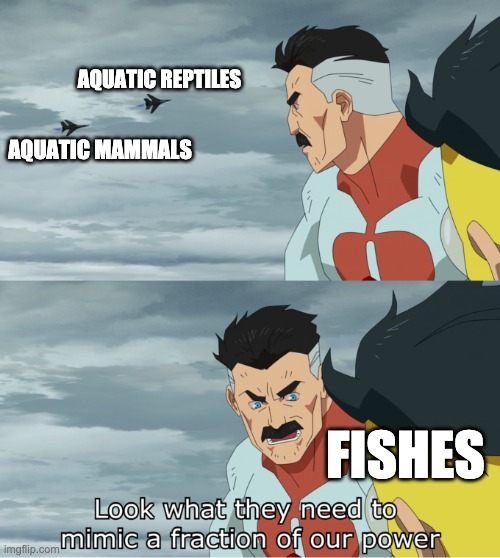 Invincible Fishes | AQUATIC REPTILES; AQUATIC MAMMALS; FISHES | image tagged in fraction of our power,fish | made w/ Imgflip meme maker