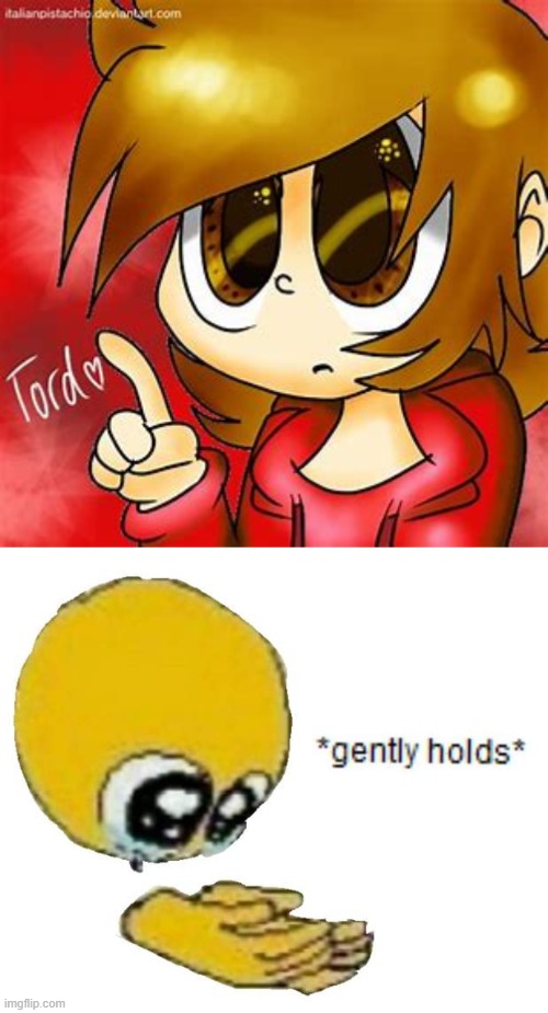 le tord simp is here | image tagged in holds gently | made w/ Imgflip meme maker