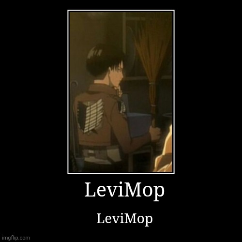 Whatamidoingwithmylife. And it's a broom my bad | image tagged in funny,demotivationals | made w/ Imgflip demotivational maker