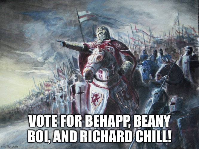 Crusader party good | VOTE FOR BEHAPP, BEANY BOI, AND RICHARD CHILL! | image tagged in crusader | made w/ Imgflip meme maker