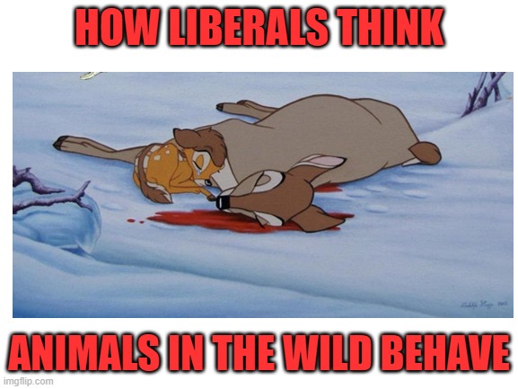 HOW LIBERALS THINK ANIMALS IN THE WILD BEHAVE | made w/ Imgflip meme maker