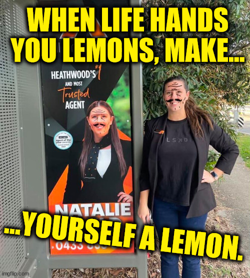 Lemonade | WHEN LIFE HANDS YOU LEMONS, MAKE... ...YOURSELF A LEMON. | image tagged in memes,dank memes,funny,first world problems,problem solved,improvise adapt overcome | made w/ Imgflip meme maker