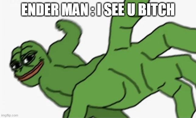 pepe punch | ENDER MAN : I SEE U BITCH | image tagged in pepe punch | made w/ Imgflip meme maker