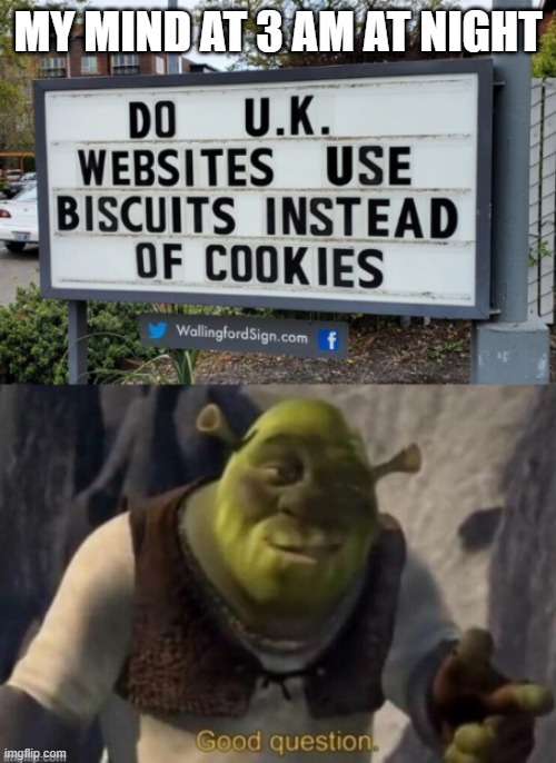 this website uses biscuits | MY MIND AT 3 AM AT NIGHT | image tagged in memes,uk,cookies,shrek,shrek good question | made w/ Imgflip meme maker