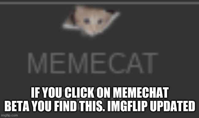 Found this when I acidently click on memechat it turned into memecat | IF YOU CLICK ON MEMECHAT BETA YOU FIND THIS. IMGFLIP UPDATED | made w/ Imgflip meme maker