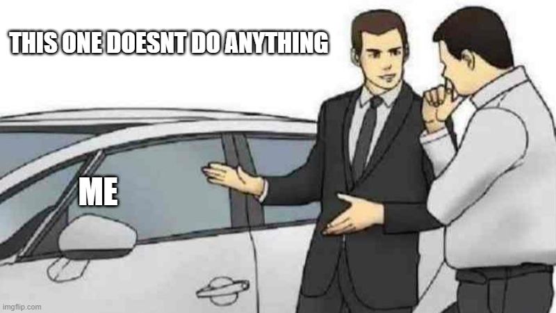 Please help me | THIS ONE DOESNT DO ANYTHING; ME | image tagged in memes,car salesman slaps roof of car | made w/ Imgflip meme maker