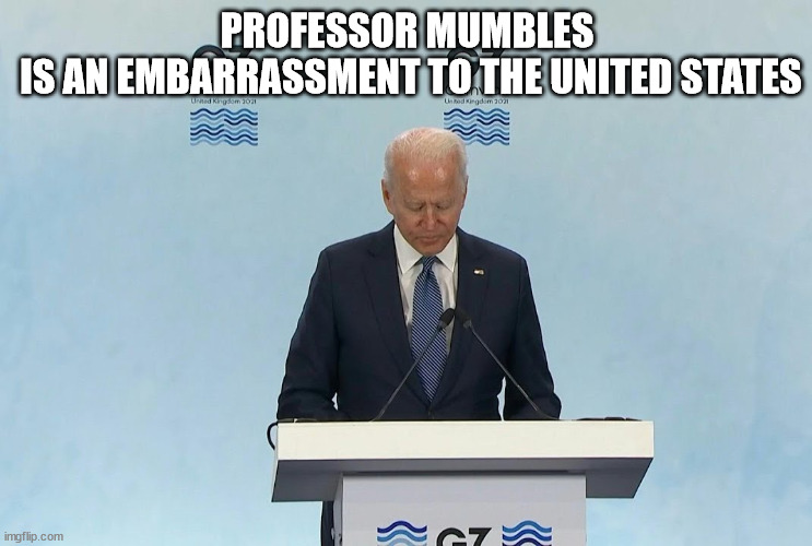 President Mumbles | PROFESSOR MUMBLES
 IS AN EMBARRASSMENT TO THE UNITED STATES | image tagged in mumbles,joe biden | made w/ Imgflip meme maker