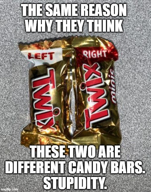 THE SAME REASON WHY THEY THINK THESE TWO ARE DIFFERENT CANDY BARS.
STUPIDITY. | made w/ Imgflip meme maker