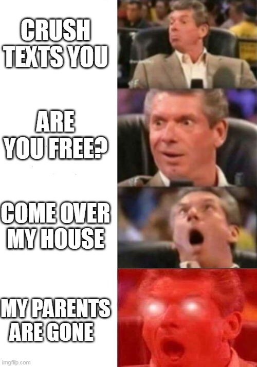 Mr. McMahon reaction | CRUSH TEXTS YOU; ARE YOU FREE? COME OVER MY HOUSE; MY PARENTS ARE GONE | image tagged in mr mcmahon reaction | made w/ Imgflip meme maker