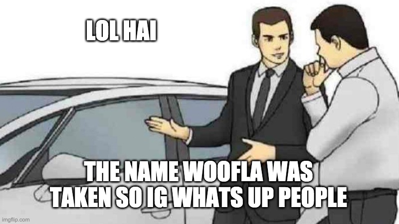 car salesman slaps roof of car | LOL HAI; THE NAME WOOFLA WAS TAKEN SO IG WHATS UP PEOPLE | image tagged in memes,car salesman slaps roof of car | made w/ Imgflip meme maker