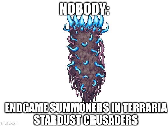 Blank White Template | NOBODY:; ENDGAME SUMMONERS IN TERRARIA
STARDUST CRUSADERS | image tagged in blank white template | made w/ Imgflip meme maker