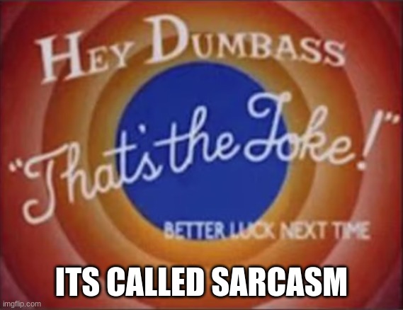 hey dumbass that's the joke | ITS CALLED SARCASM | image tagged in hey dumbass that's the joke | made w/ Imgflip meme maker