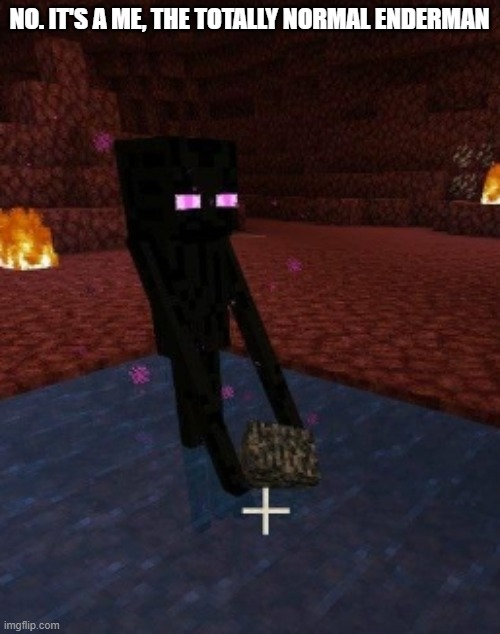 enderman holding bedrock in water in the nether | NO. IT'S A ME, THE TOTALLY NORMAL ENDERMAN | image tagged in enderman holding bedrock in water in the nether | made w/ Imgflip meme maker