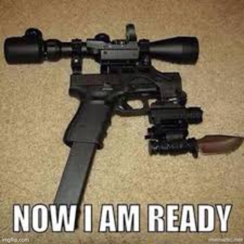 image tagged in tacticool,gamers be like,customization | made w/ Imgflip meme maker