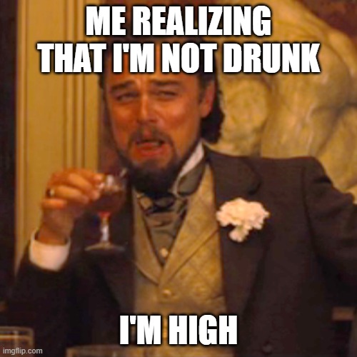 Laughing Leo | ME REALIZING THAT I'M NOT DRUNK; I'M HIGH | image tagged in memes,laughing leo | made w/ Imgflip meme maker