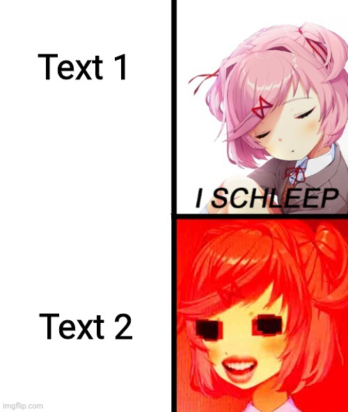 Natsuki I sleep | Text 1; Text 2 | image tagged in natsuki i sleep | made w/ Imgflip meme maker