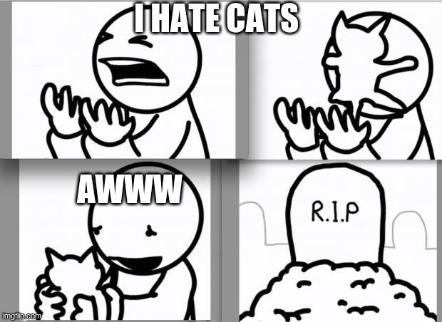 ASDF kitten | I HATE CATS; AWWW | image tagged in asdf kitten | made w/ Imgflip meme maker
