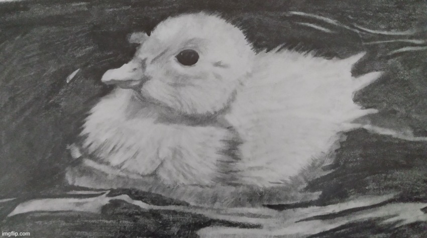 Baby duck drawing! | image tagged in duck,drawing | made w/ Imgflip meme maker