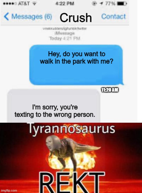 talking to your crush be like: | Crush; Hey, do you want to walk in the park with me? 11:20 AM; I'm sorry, you're texting to the wrong person. | image tagged in blank text conversation,crush,tyrannosaurus rekt,memes,funny | made w/ Imgflip meme maker