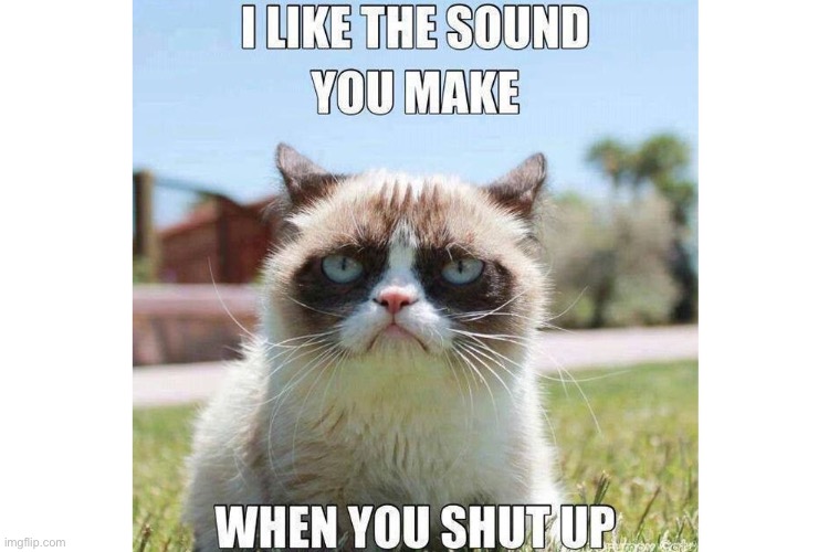 The sound I like... | image tagged in cats,memes,funny | made w/ Imgflip meme maker